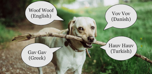 Pet Animals Rhyme - Anna Blog